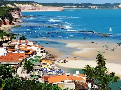 NATAL + PIPA
