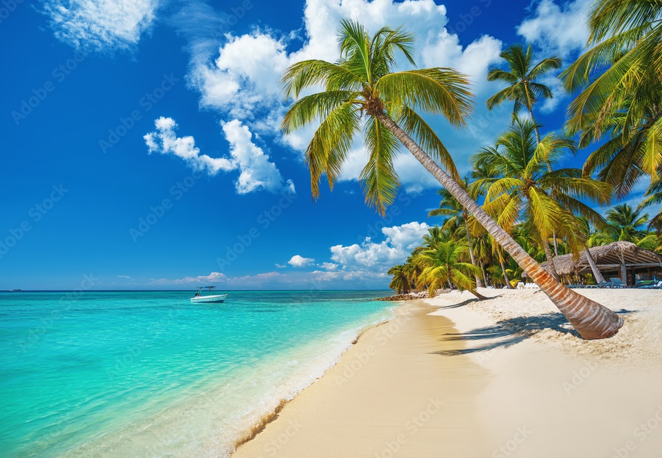 PUNTA CANA EN FAMILIA CON VUELO DIRECTO!!